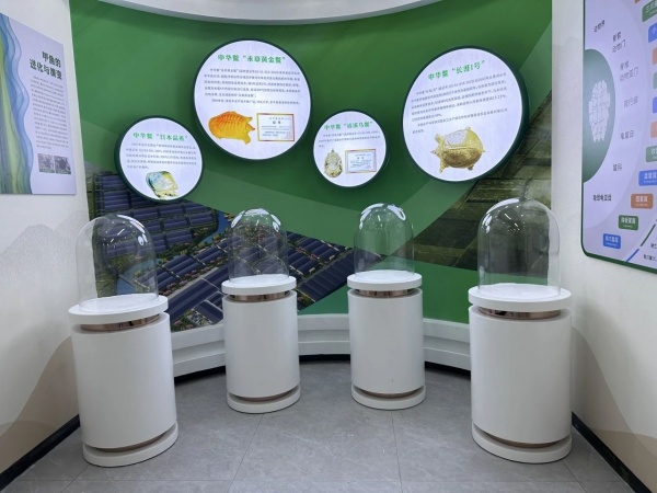 農(nóng)業(yè)產(chǎn)業(yè)園展廳設(shè)計(jì)案例